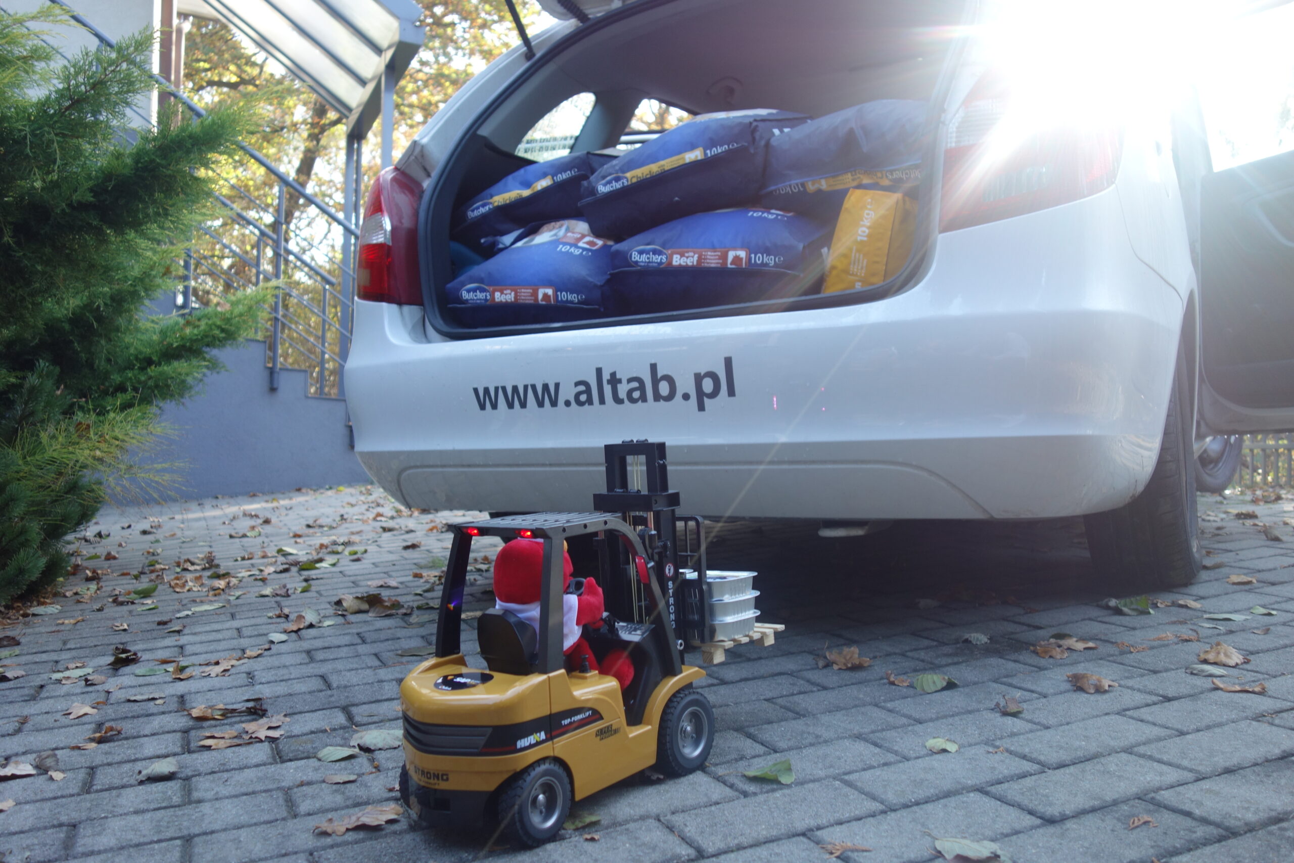 altab akcja wsparcia dla schroniska