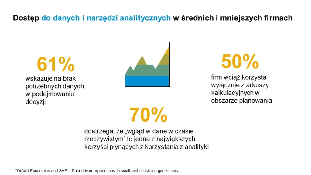 Dostęp do danych i narzędzi analitycznych w średnich i mniejszych firmach