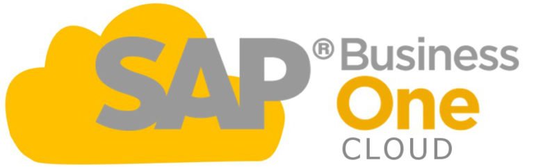 SAP Business One chmura